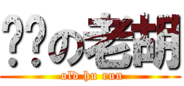 跑步の老胡 ( old hu run)