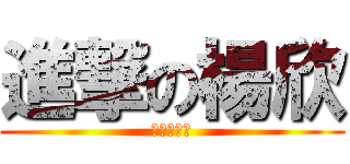 進撃の楊欣 (進撃の楊欣)