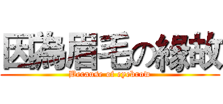 因為眉毛の緣故 (Because of eyebrow)