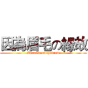 因為眉毛の緣故 (Because of eyebrow)