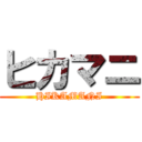 ヒカマニ (HIKAMANI)