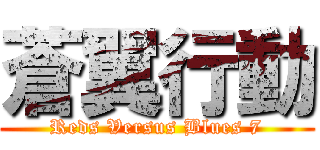 蒼翼行動 (Reds Versus Blues 7)