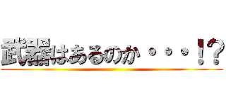 武器はあるのか・・・！？ ()