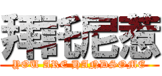 拜託尼惹 (YOU ARE HANDSOME)