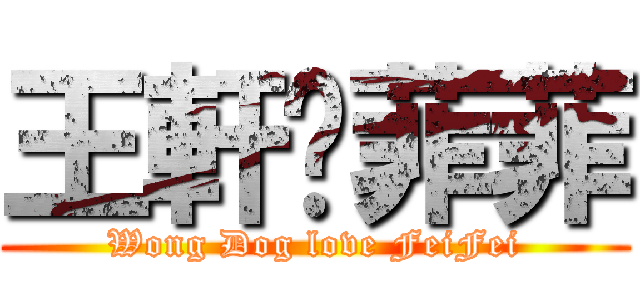 王軒❤菲菲 (Wong Dog love FeiFei)