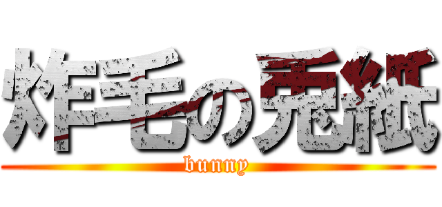 炸毛の兎紙 (bunny)