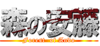 森の安藤 (Forest  of Ando)