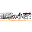 進撃の小吉爸 (attack on titan)