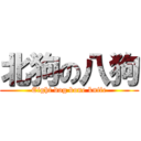 北狗の八狗 (Eight dog bone knife)
