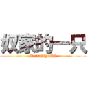 奴家的一只 (Zettairyoiki)