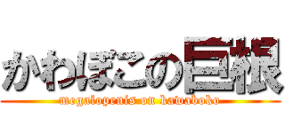 かわぼこの巨根 (megalopenis on kawaboko)