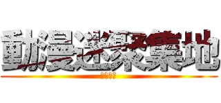 動漫迷聚集地 (快进来吧)