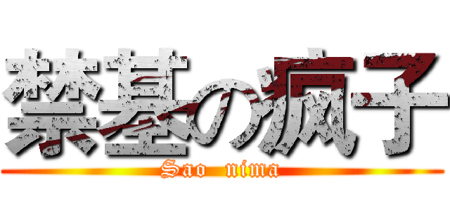 禁基の疯子 (Sao  nima)