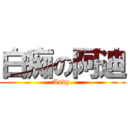 白痴の阿迪 (Andy.)