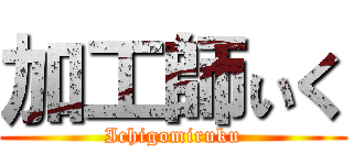 加工師ぃく (Ichigomiruku)