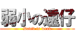 弱小の遠仔 (David is weak)