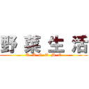 野 菜 生 活 (K  A  G  O  M  E)