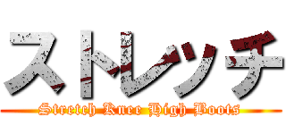 ストレッチ (Stretch Knee High Boots)