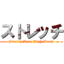 ストレッチ (Stretch Knee High Boots)