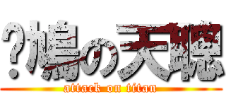戇鳩の天聰 (attack on titan)