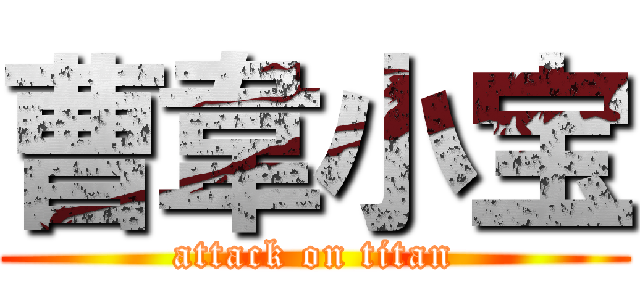 曹韋小宝 (attack on titan)
