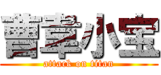 曹韋小宝 (attack on titan)