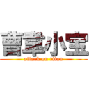 曹韋小宝 (attack on titan)