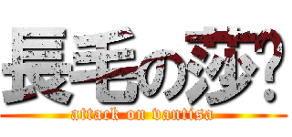 長毛の莎姊 (attack on vantisa)