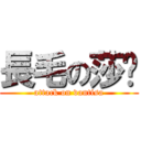 長毛の莎姊 (attack on vantisa)