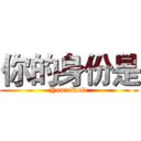 你的身份是 (Your Role)
