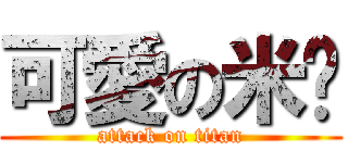 可愛の米ㄦ (attack on titan)