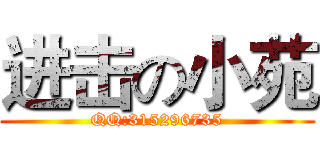 进击の小苑 (QQ:315296735)