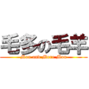毛多の毛羊 (Mou and More Mou)