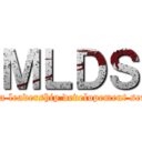 ＭＬＤＳ (Medina leadership developement seminar)