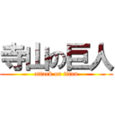 寺山の巨人 (attack on titan)