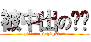 被中出の琛琛 (attack on pigskin)