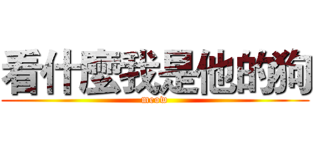 看什麼我是他的狗 (meow)