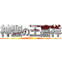 神聖の王嘉祥 (偉大又帥氣)