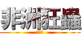 非洲狂蟲 (四個東)