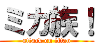 ミカ族！ (attack on titan)