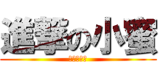 進撃の小蜜 (進擊の小蜜)