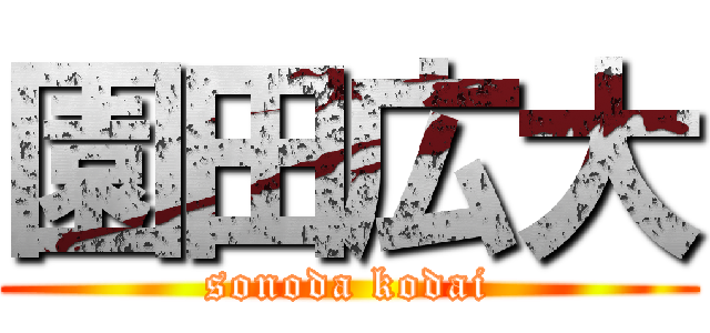 園田広大 (sonoda kodai)