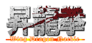 昇龍拳 (Wing Dragon Nackle)