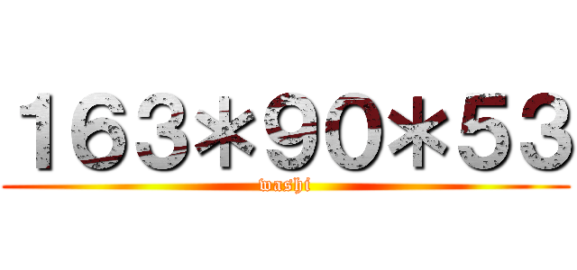 １６３＊９０＊５３ (washi)