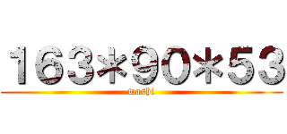 １６３＊９０＊５３ (washi)