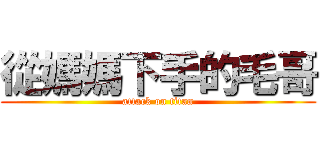 從媽媽下手的毛哥 (attack on titan)