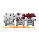 橙留香 (Qq：76632708)