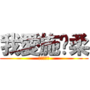 我愛施煒柔 (就愛你一個)