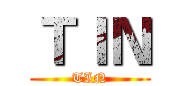 ＴＩＮ (TIN)