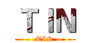 ＴＩＮ (TIN)